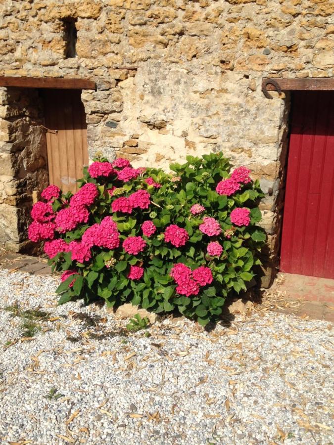 Le Clos De La Viniere Jard-sur-Mer Exterior foto